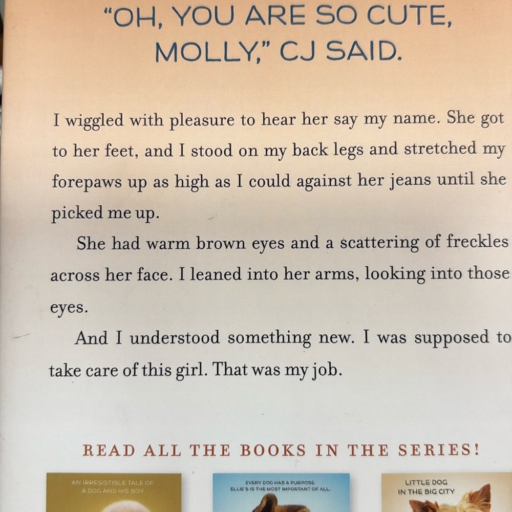 Puppy Tale Books - Molly's Story & Bailey's Story
10 - Picture 3 of 4